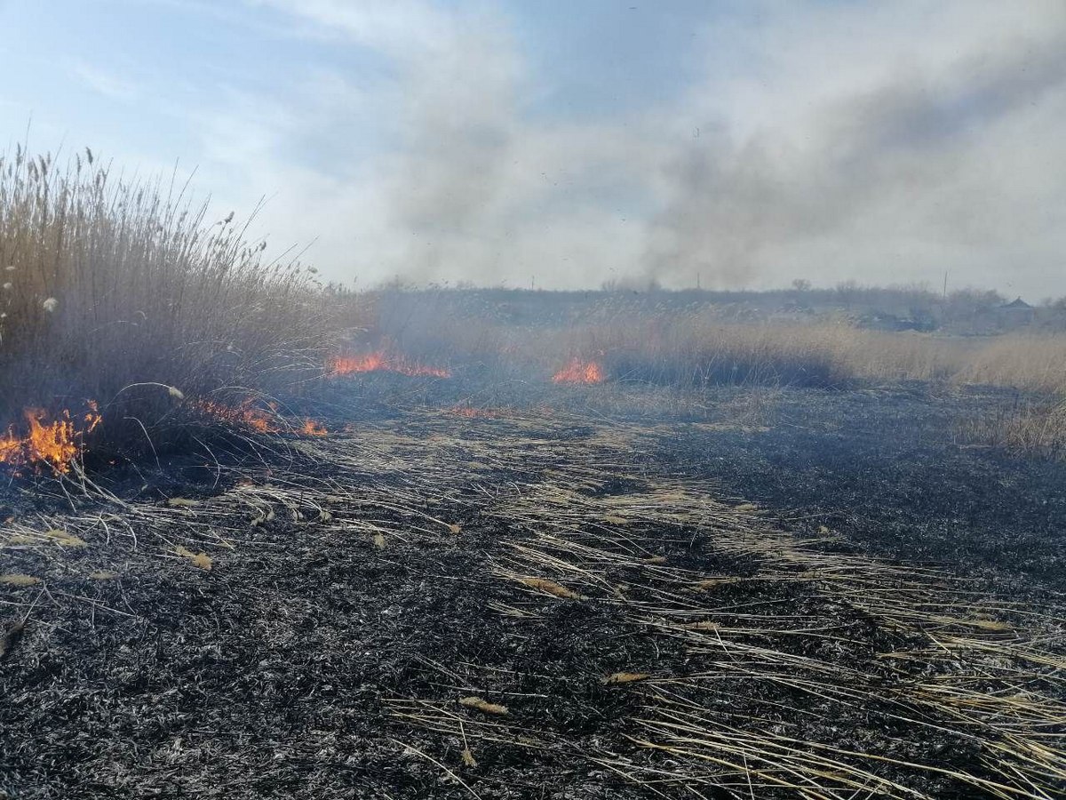 Огонь уничтожил примерно 3 гектара сухостоя