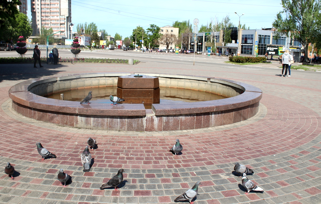 Запуска фонтана ожидают птицы
