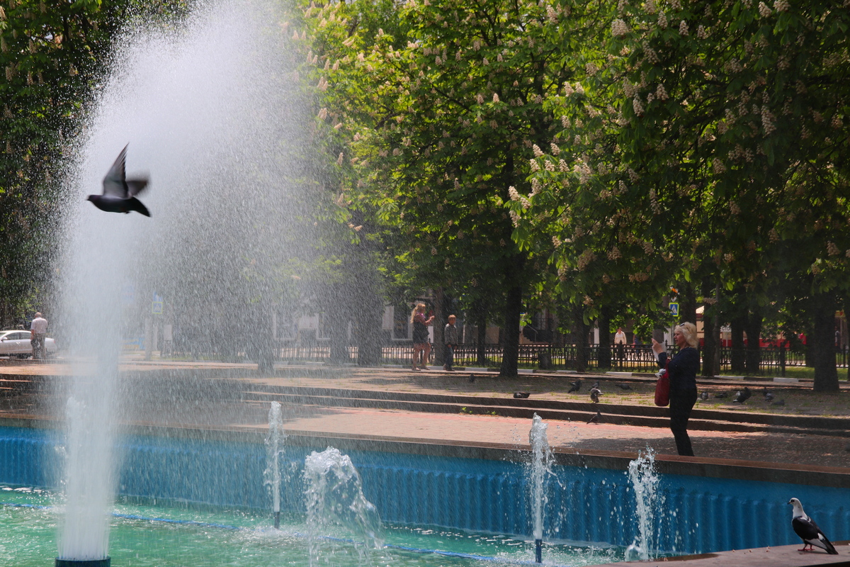 В Никополе запустили самый большой городской фонтан