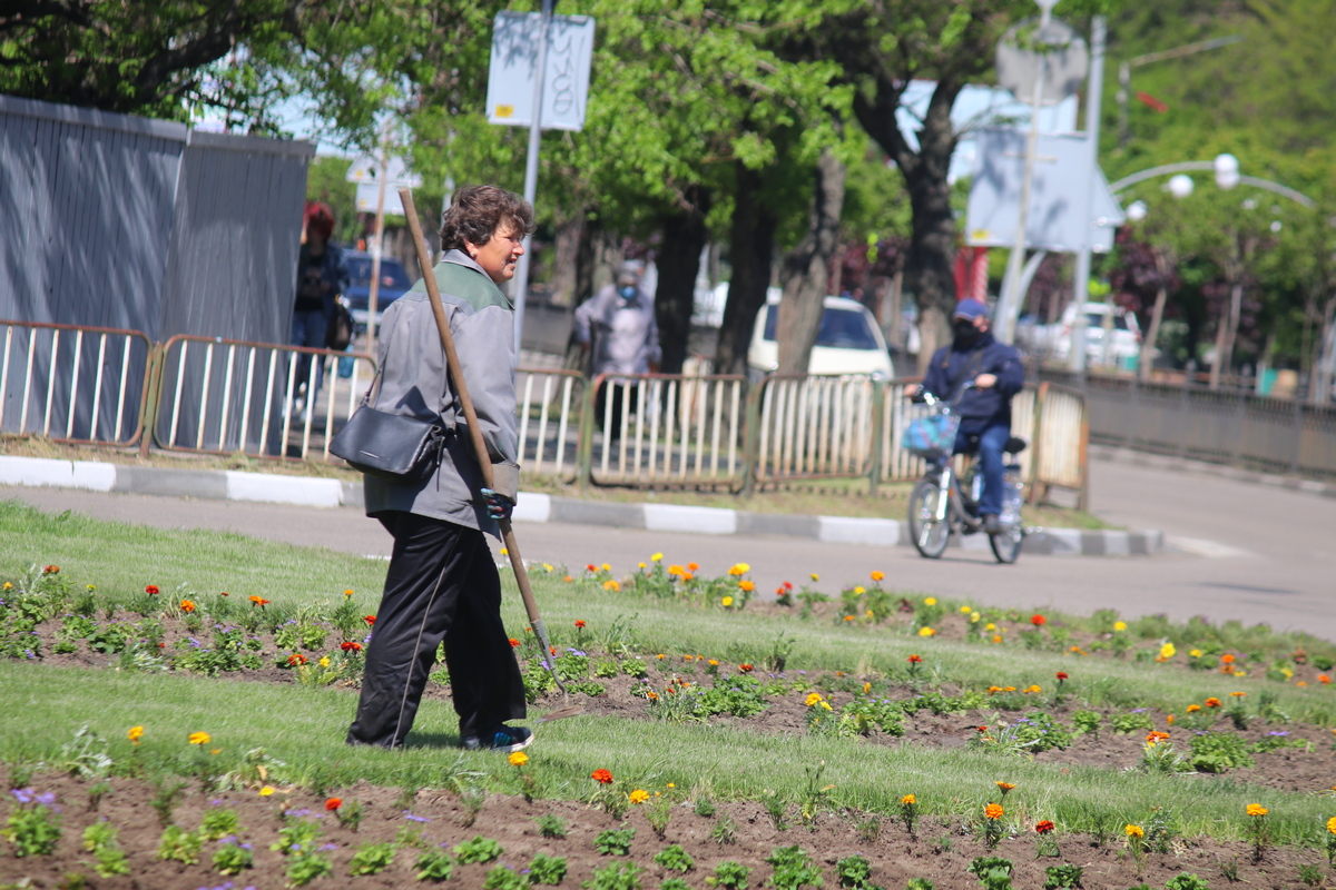 Клумбы и аллеи украшают работники КП «Городское парковое хозяйство»