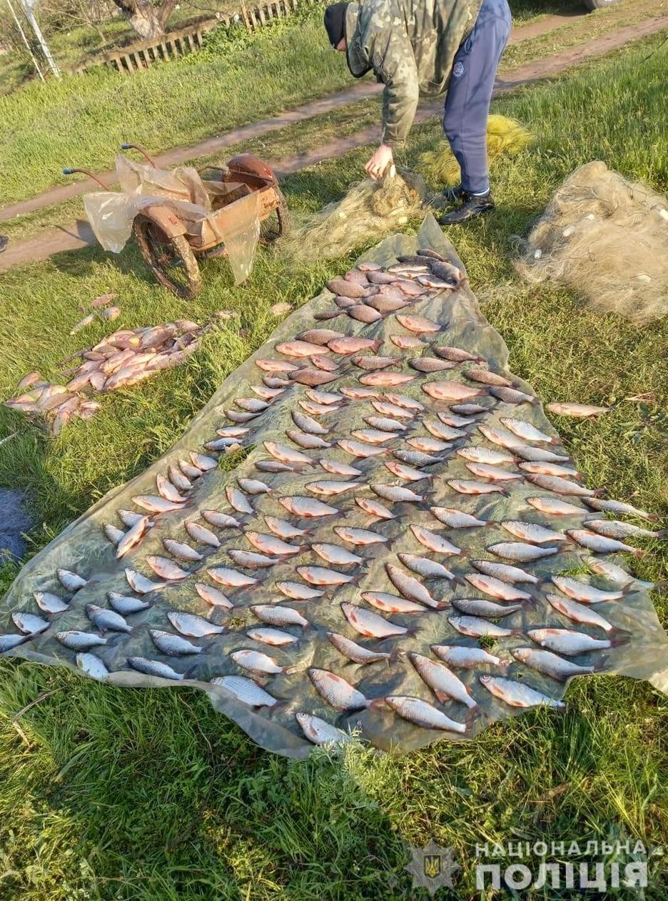Браконьеры выловили более 100 килограммов рыбы