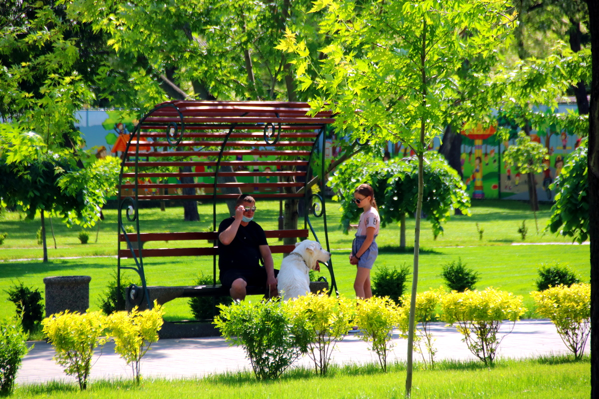 Парк имени Бориса Мозолевского в Покрове 