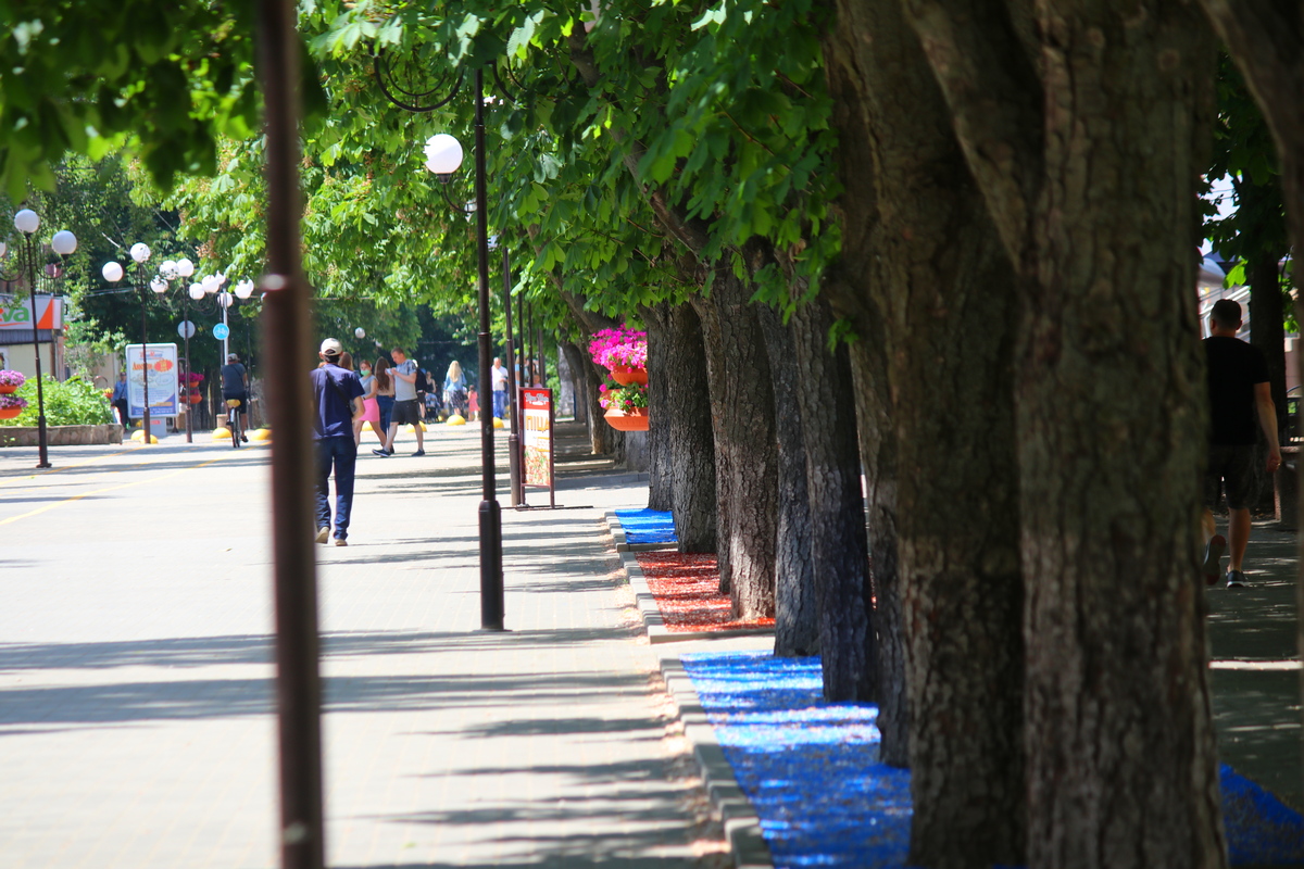 По улице Центральной, постелили необычный красный и синий искусственный газон
