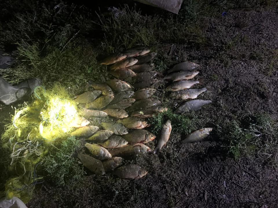 В Марганце у браконьера изъяли 40 рыбин