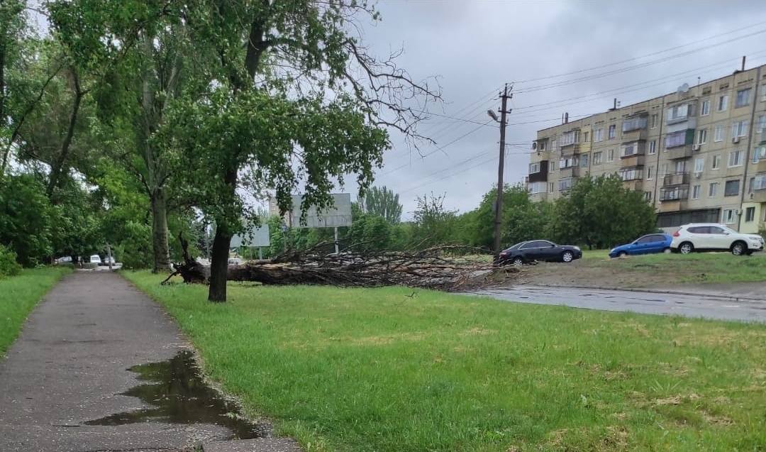 Сухой тополь упал на улице Первомайской