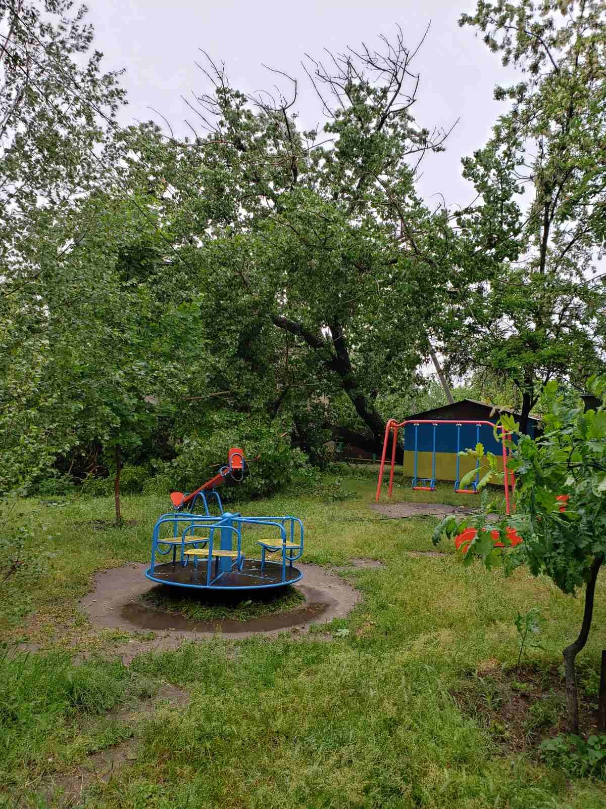 Дерево повисло на проводах рядом с детской площадкой