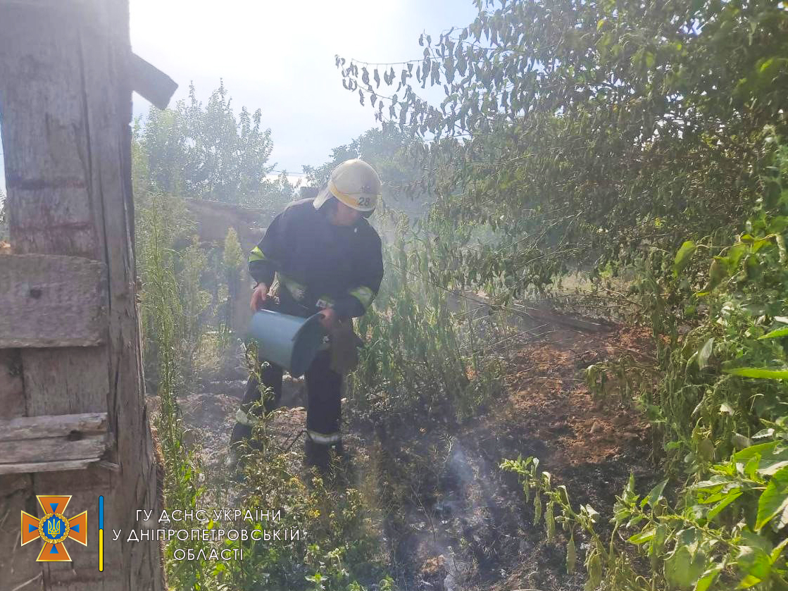 В Никополе спасатели около двух часов тушили возгорание сухой травы 