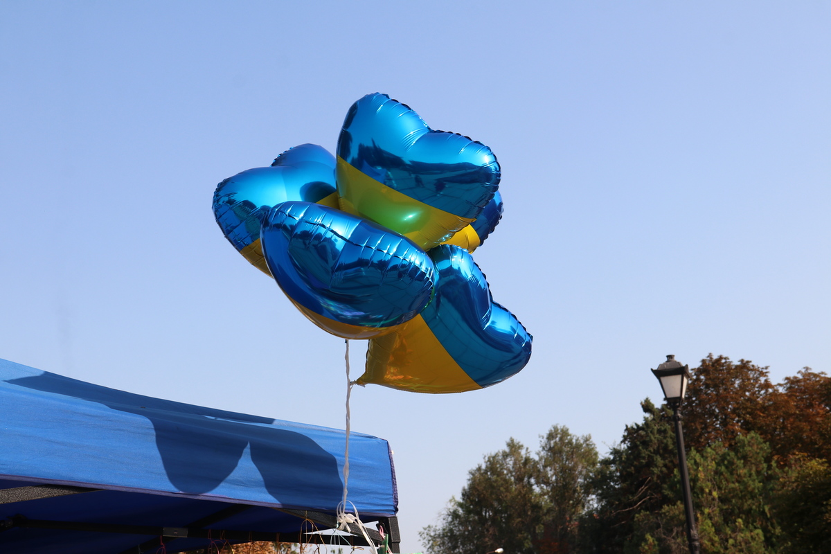 30-летие Независимости Украины