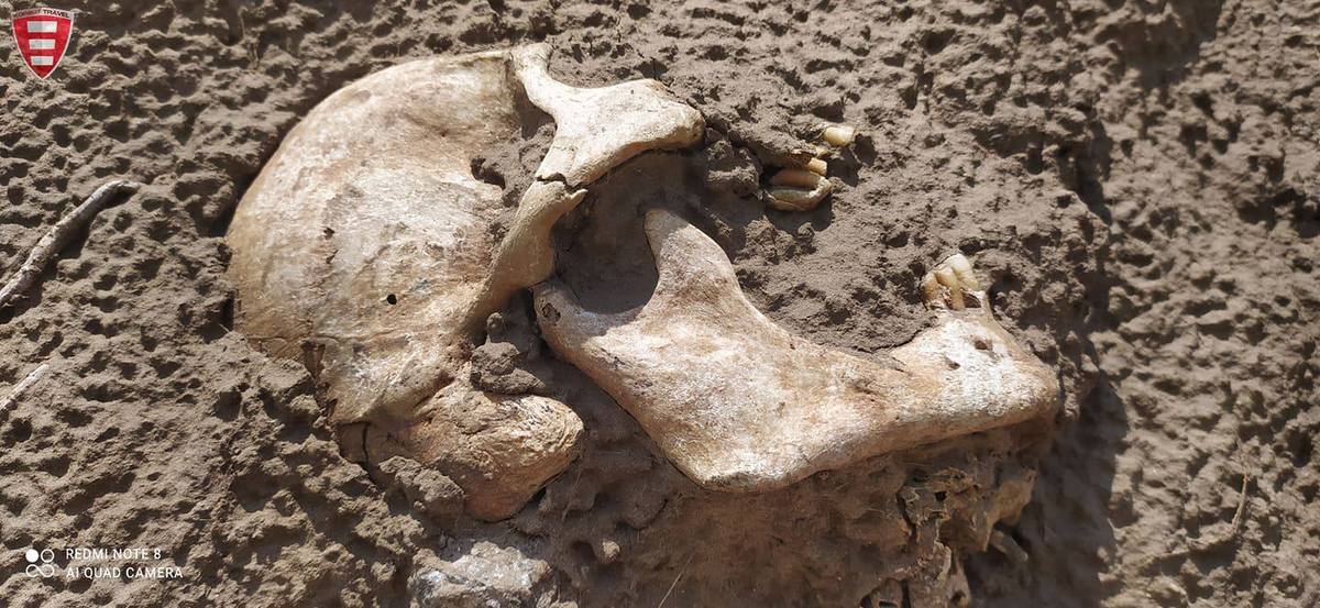 Житель Марганца в скале нашел человеческие останки