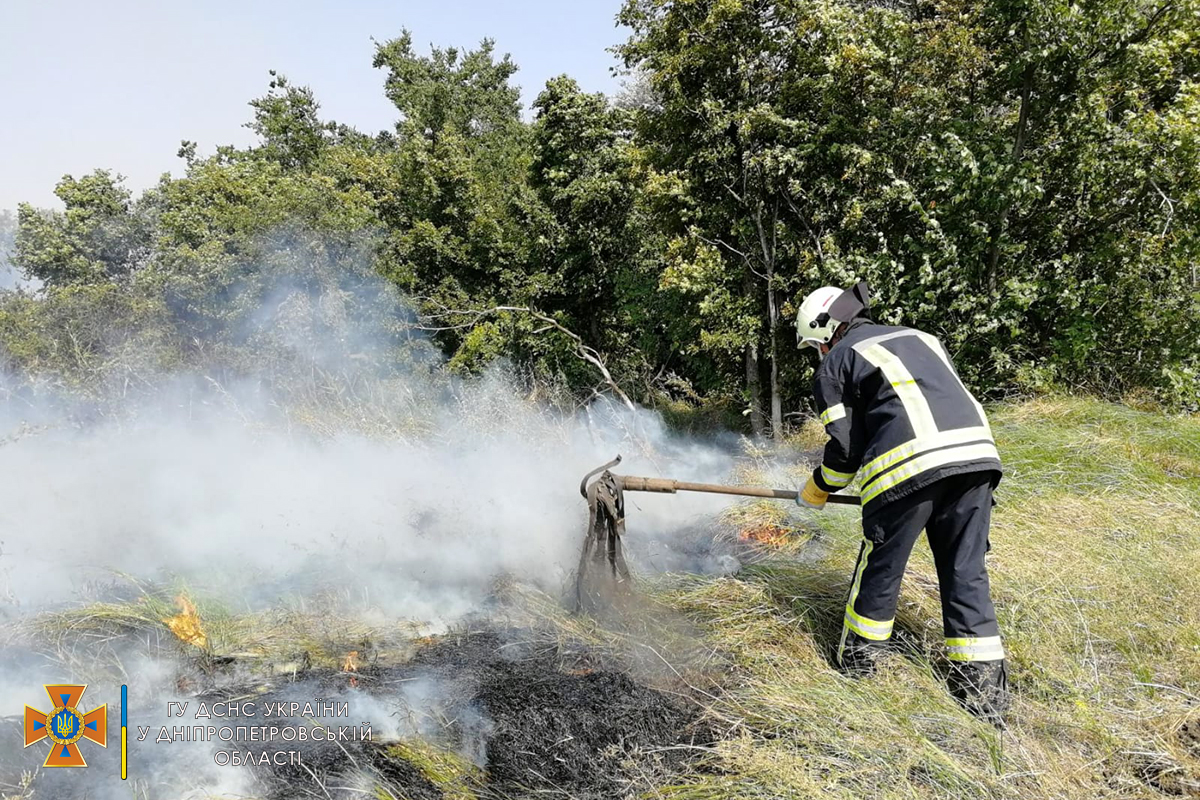 В селе под Никополем спасатели тушили пожар в экосистеме