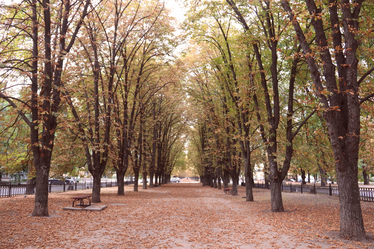 Осень - лучшее время для прогулок 