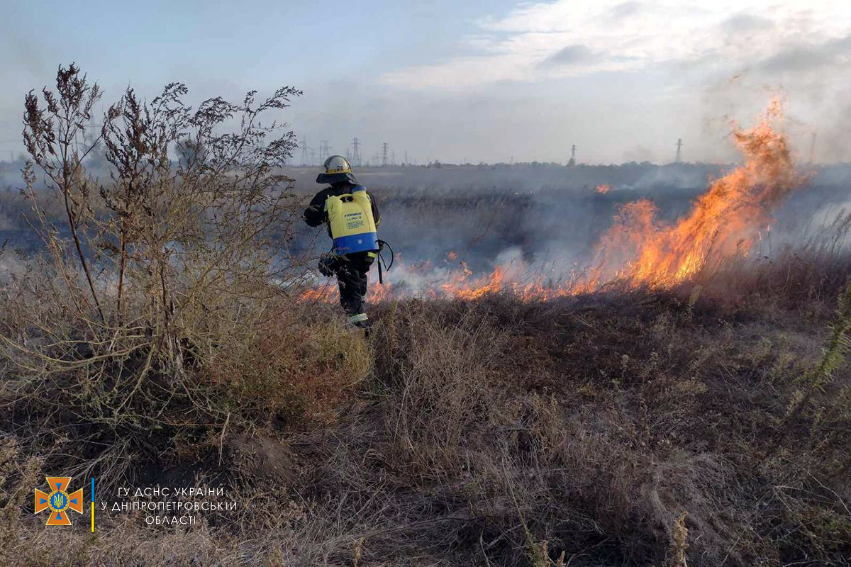 Огонь уничтожил 4,5 гектара сухостоя