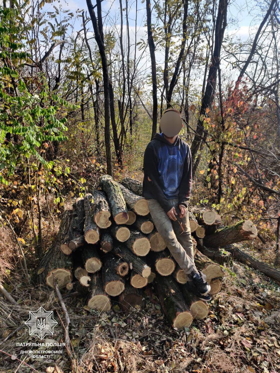 Под Никополем "лесоруб" незаконно спилил деревья акации 
