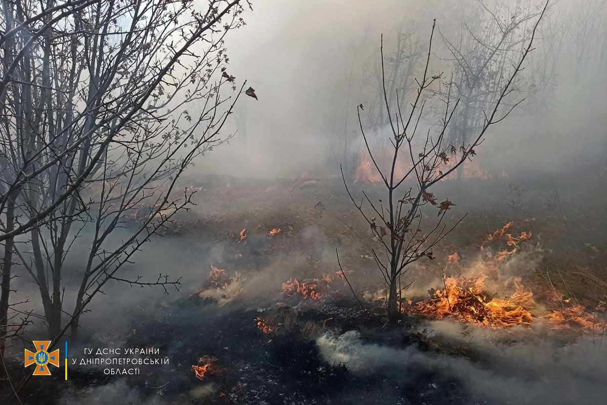 В Никополе и районе спасатели тушили масштабные пожары в экосистеме
