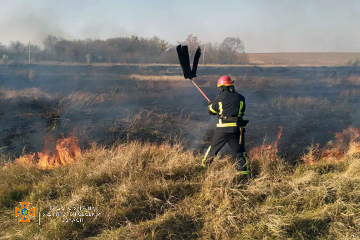В селе Шолохово пожар распространился и уничтожил растительность на площади 4 гектара