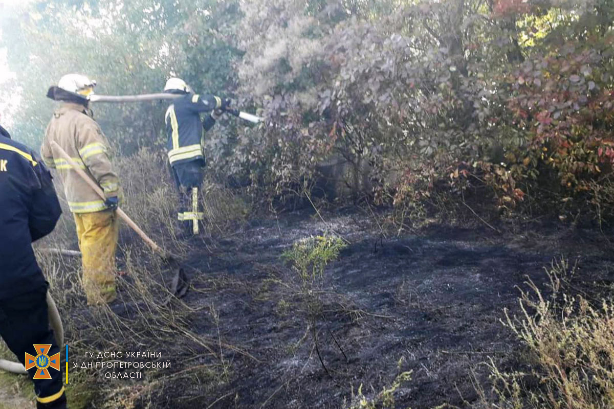 В селе под Никополем спасатели тушили пожар в экосистеме