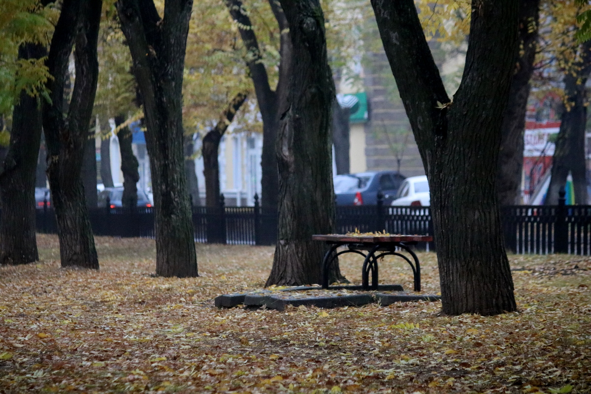 Пустые скамейке на проспекте Трубников 