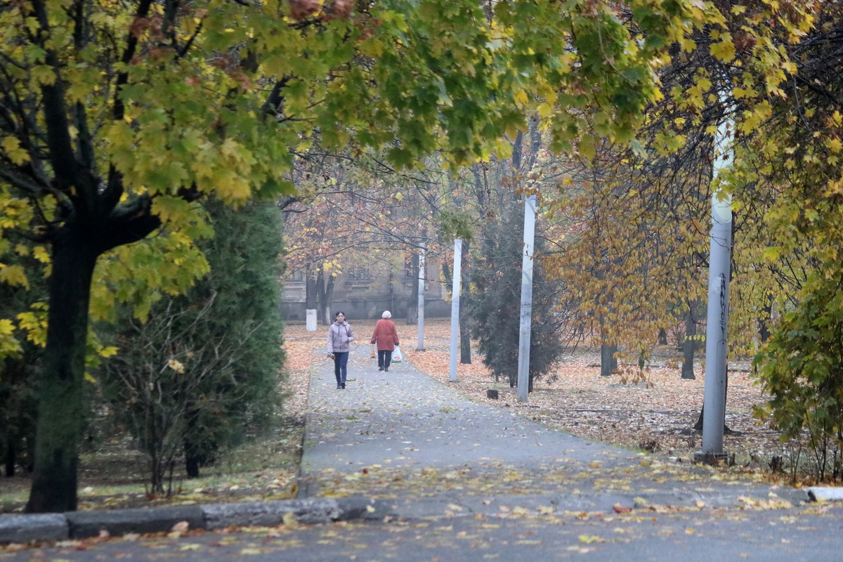 Тихие прогулки осенью 