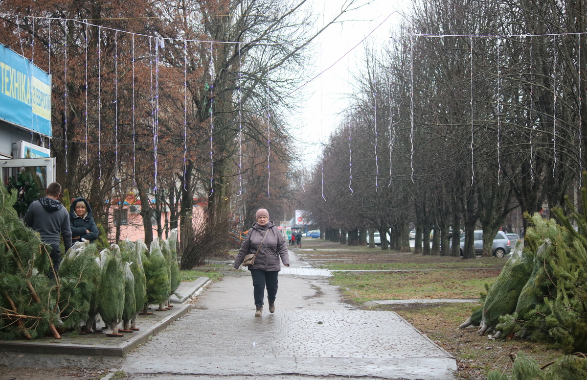 На улице Шевченко продают елки 