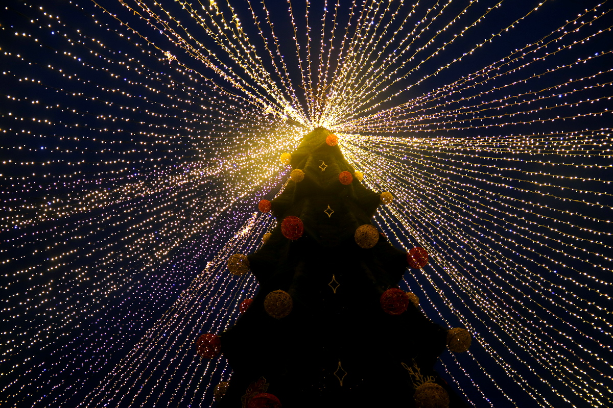 В Никополе зажгли огни на новогодней елке