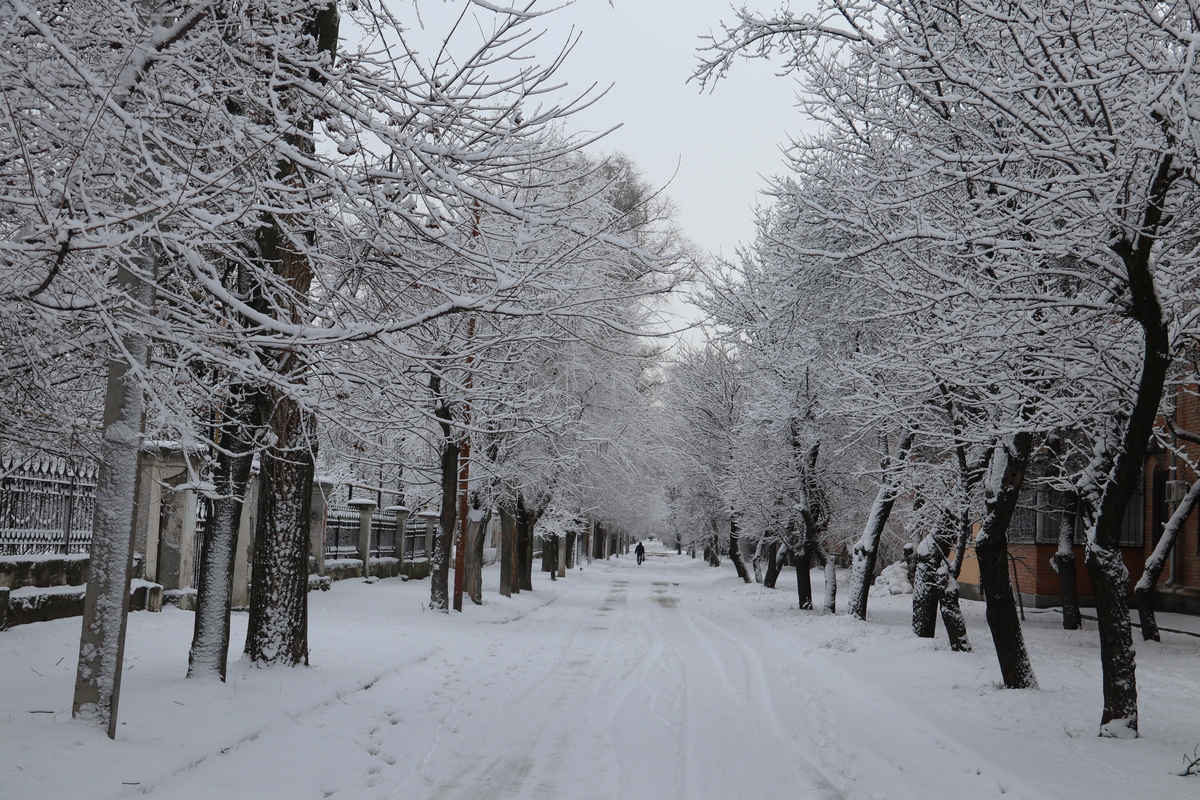 В Никополь пришла настоящая зимняя сказка
