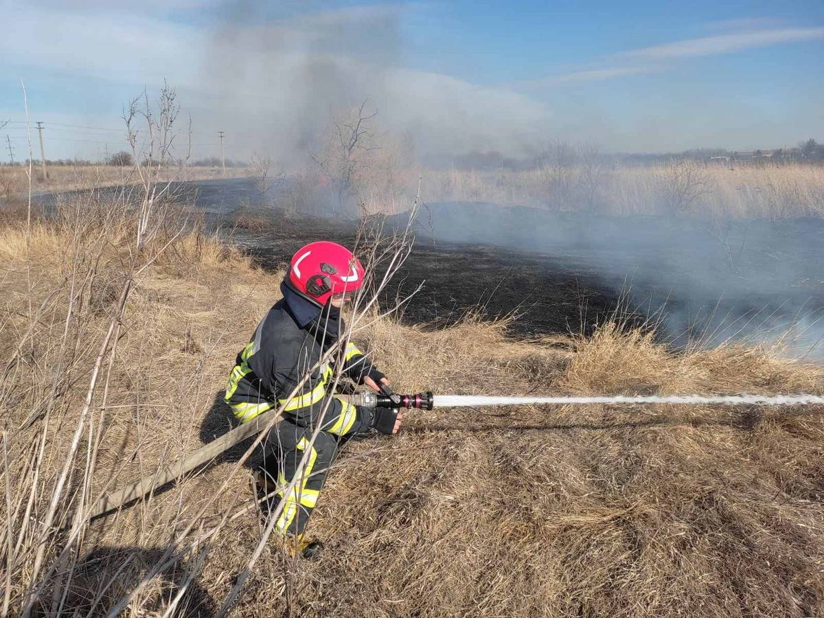 За сутки выгорело около 14 гектаров сухостоя