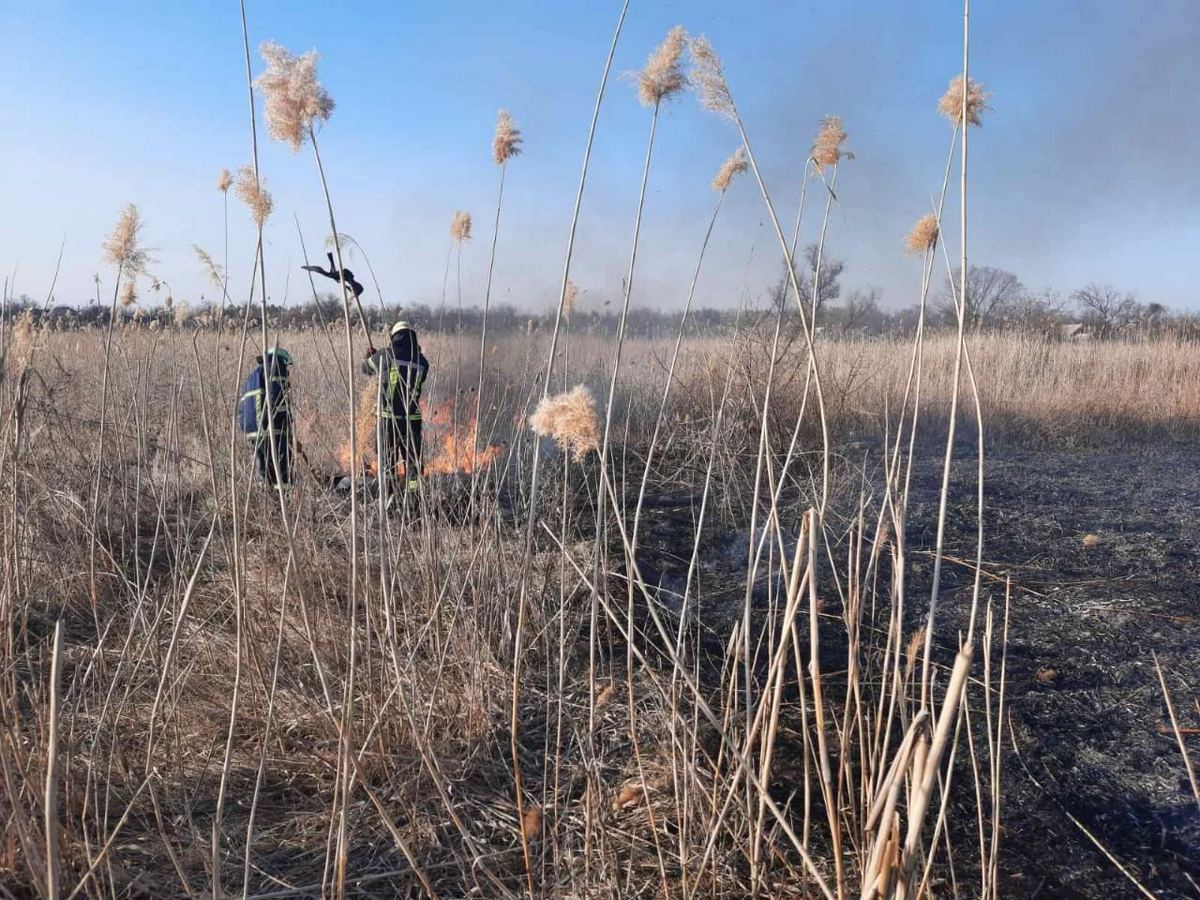 Спасатели призывают жителей Никополя и района не сжигать сухую траву 