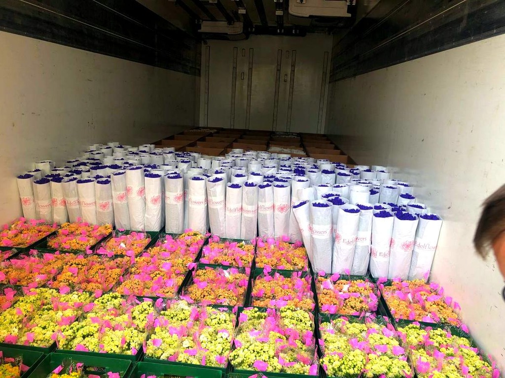 В Энергодар бесплатно передали 35 тысяч цветов к 8 Марта