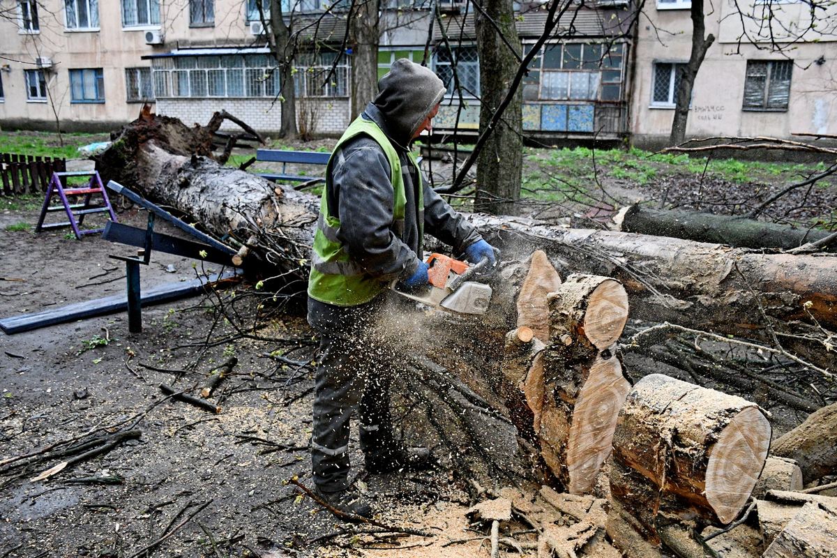 В Никополе из-за сильного ветра старый тополь упал вблизи жилого дома |  Інформатор Нікополь