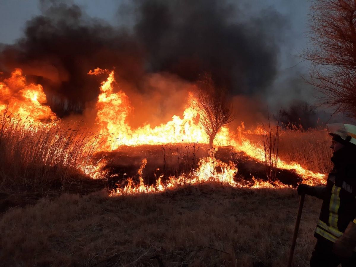 За сутки спасатели Никополя и района 4 раза привлекались к тушению пожаров