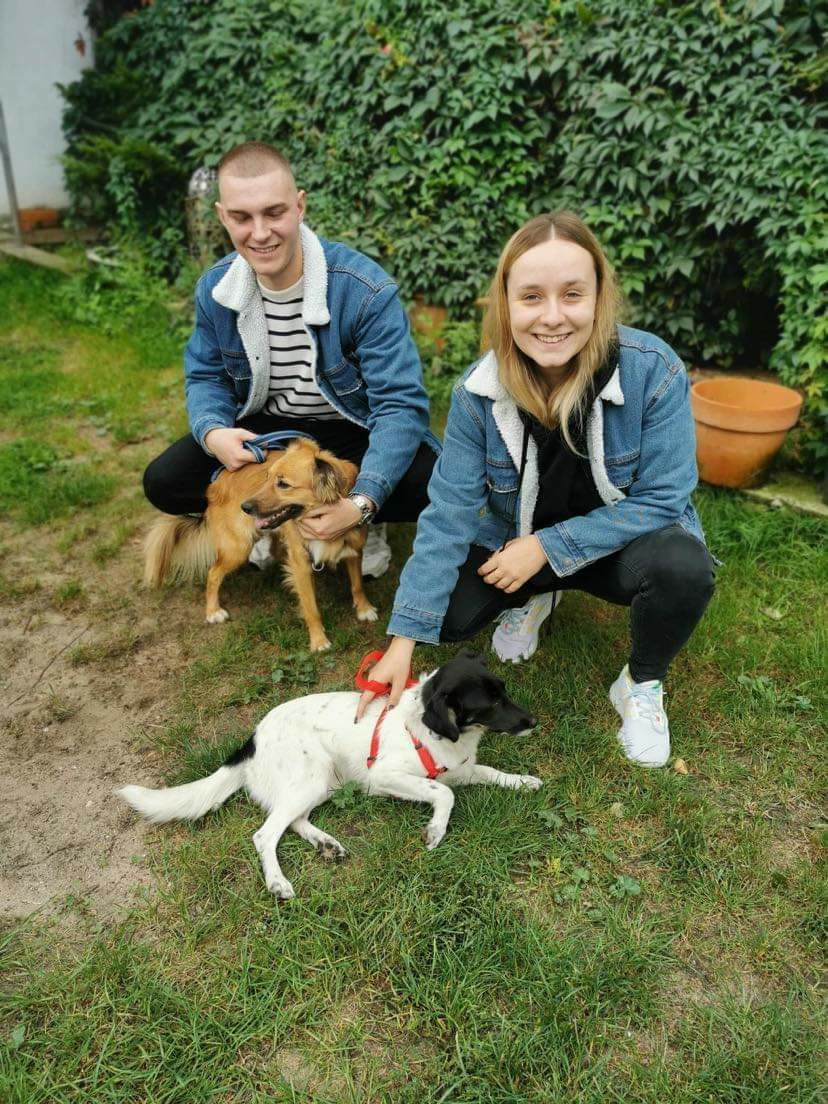 Собака з Нікополя знайшла родину в Польщі 
