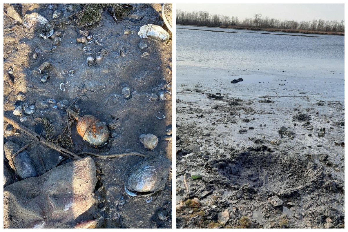 На обмілілій частині Каховського водосховища виявили гранату 