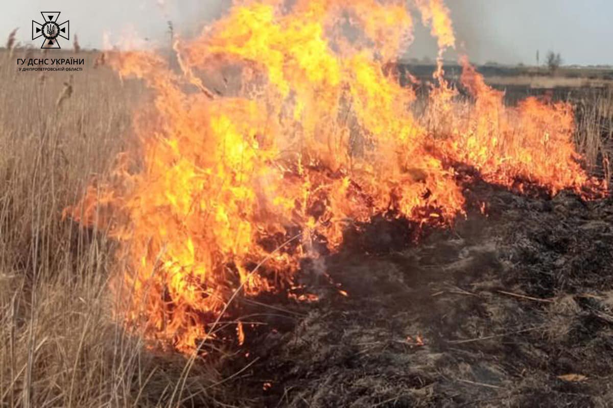 Трав’яні пожежі швидко поширюються на значні площі