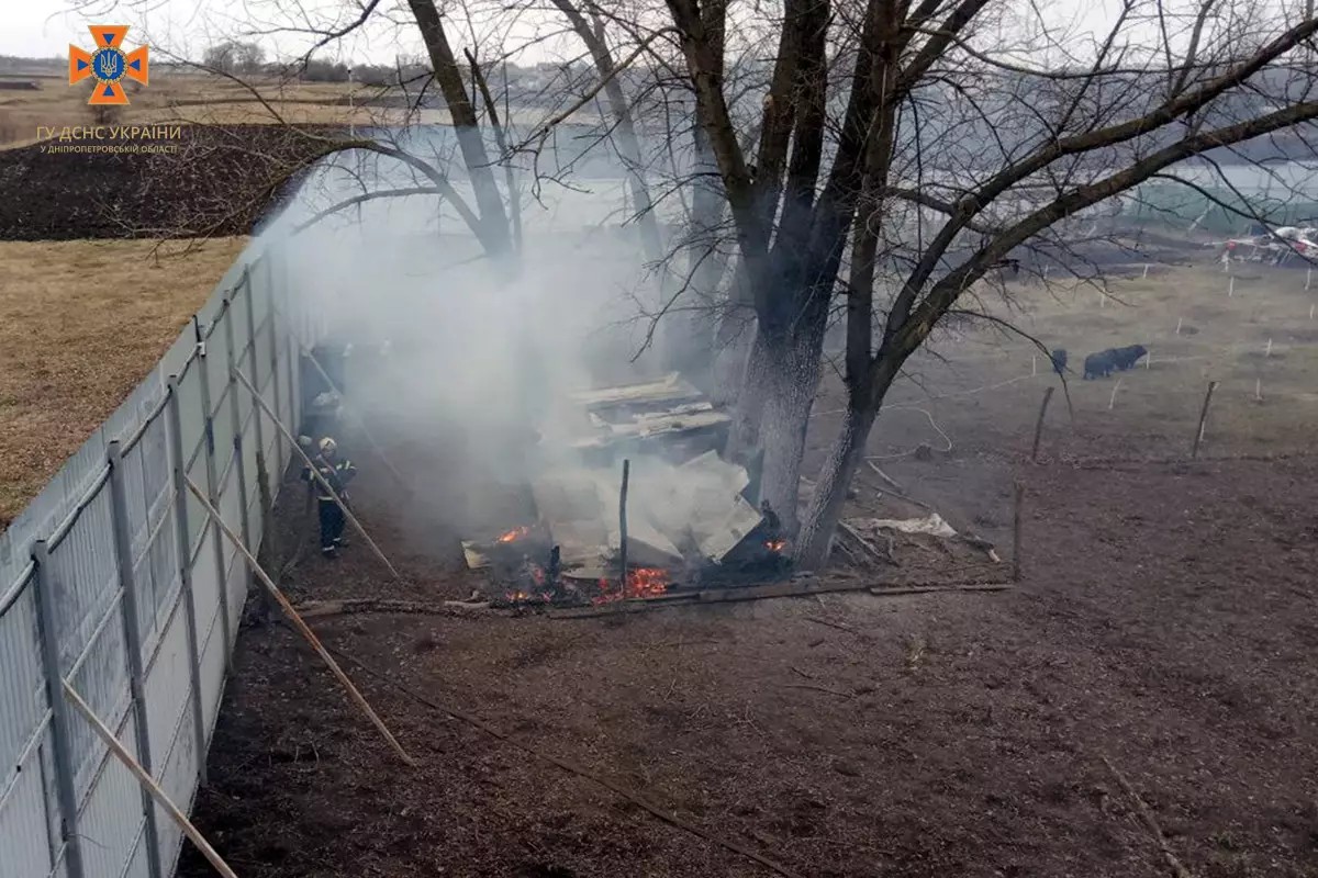 У Дніпропетровській області п'ять кіз згоріли під час пожежі 