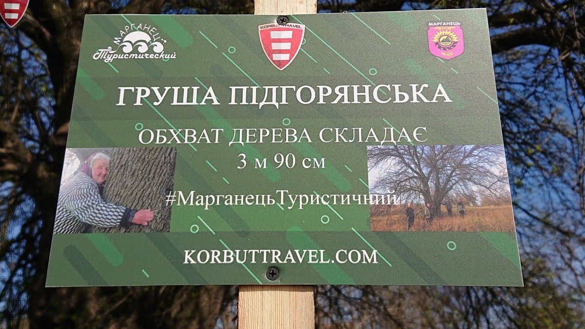 В Марганці, біля найбільшої в Україні груші, встановили інформаційний знак 