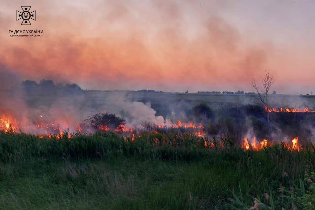 За добу рятувальники Дніпропетровщини 19 разів гасили займань в екосистемах
