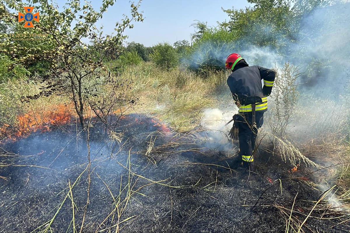 Протягом доби рятувальники загасили 61 пожежу в екосистемах Дніпропетровщини 