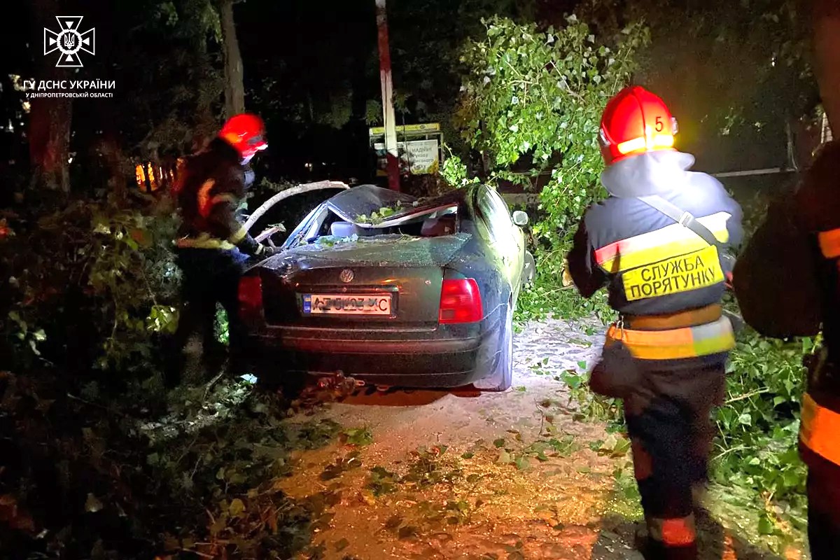 В Покрові дерево впало на дах легкового автомобіля