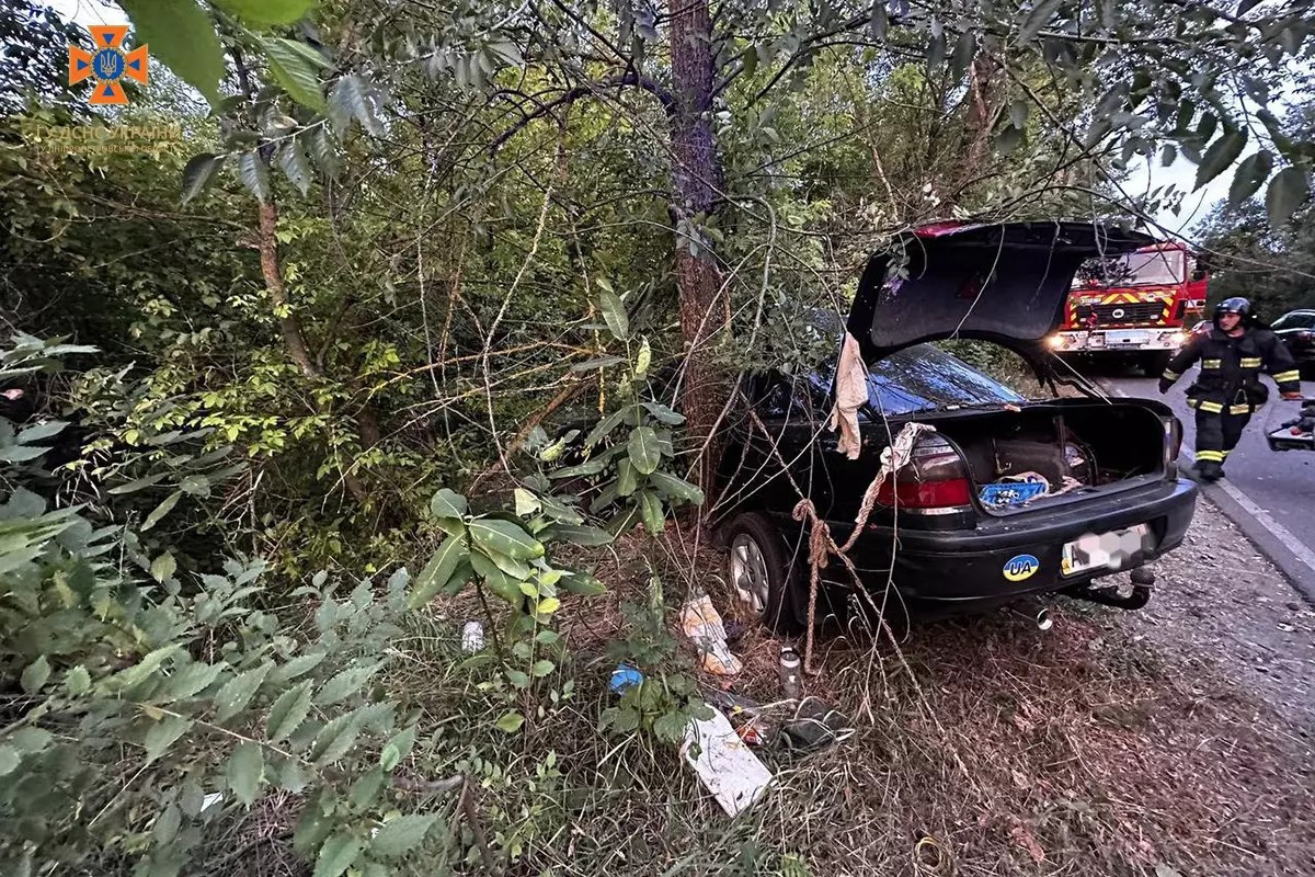 На Дніпропетровщині водій не впорався з керуванням та врізався в дерево