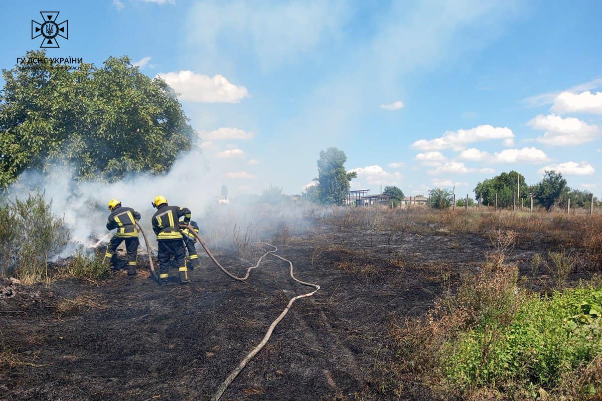 Вогонь знищив 43 гектари сухостою