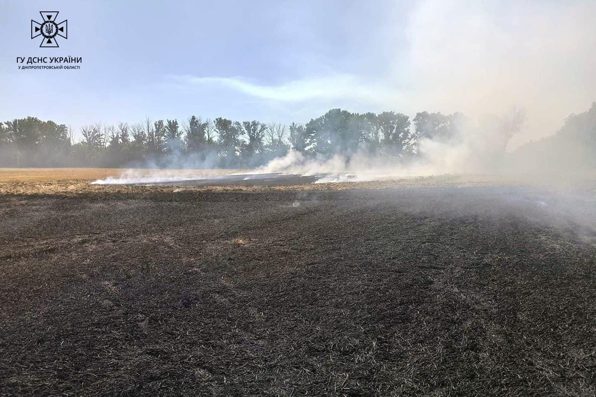 Протягом доби надзвичайники Дніпропетровщини ліквідували 35 загорань в екосистемах 