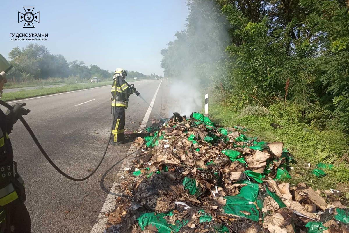 Протягом доби надзвичайники Дніпропетровщини ліквідували 17 пожеж в екосистемах 