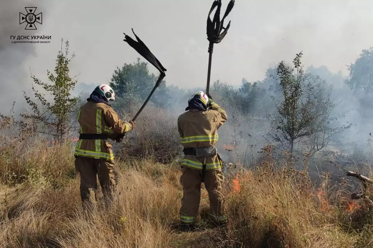 На Дніпропетровщині вогнеборці протягом доби ліквідували 37 пожеж в екосистемах