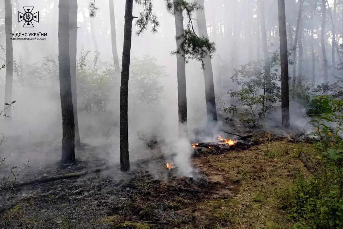 Загальна площа знищених вогнем екосистем склала понад 20 гектарів 