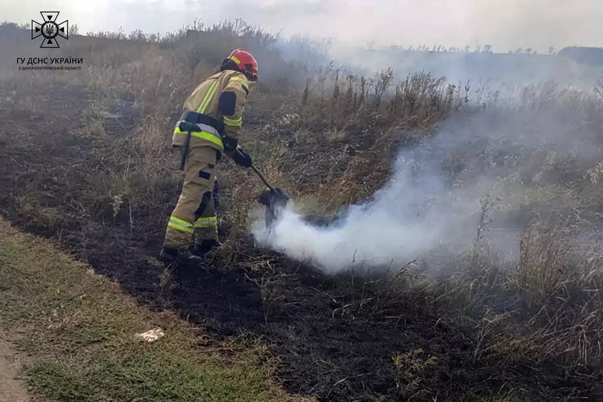 На Дніпропетровщині протягом доби надзвичайники ліквідували 60 пожеж в екосистемах