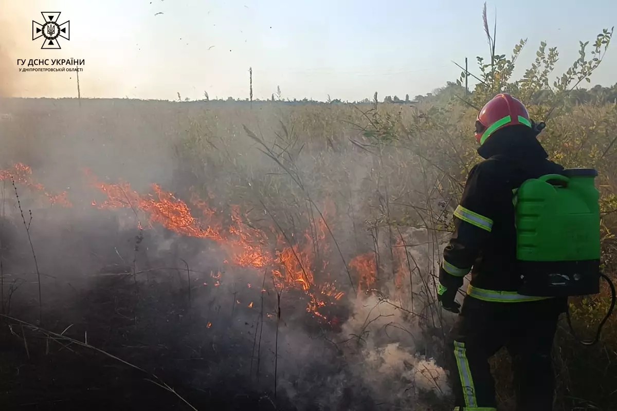 На Дніпропетровщині протягом доби вогонь знищив понад 55 гектарів у екосистемах