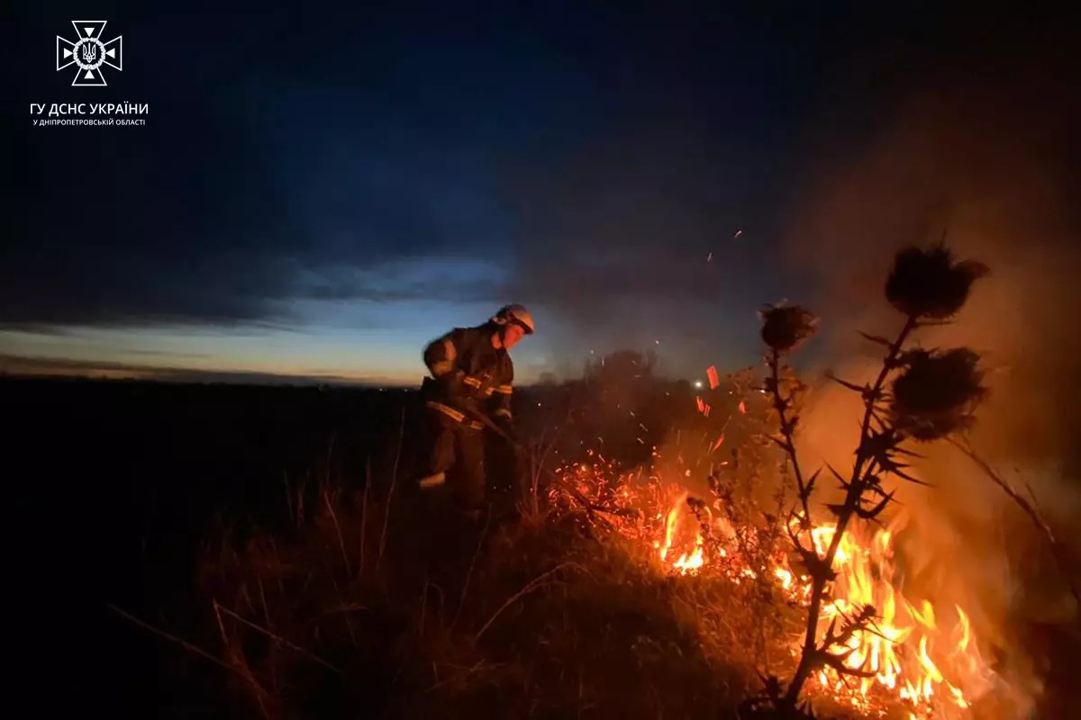 На Дніпропетровщині рятувальники за добу загасили 29 пожеж в екосистемах 