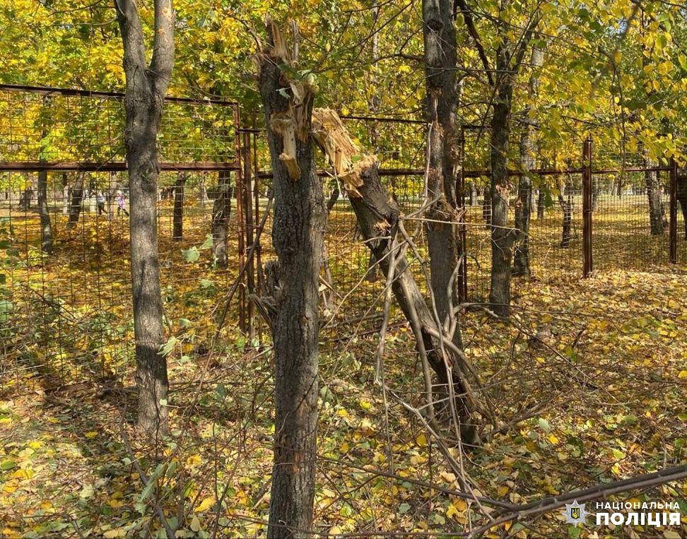 Уламками побито легковий автомобіль та зламано дерева 