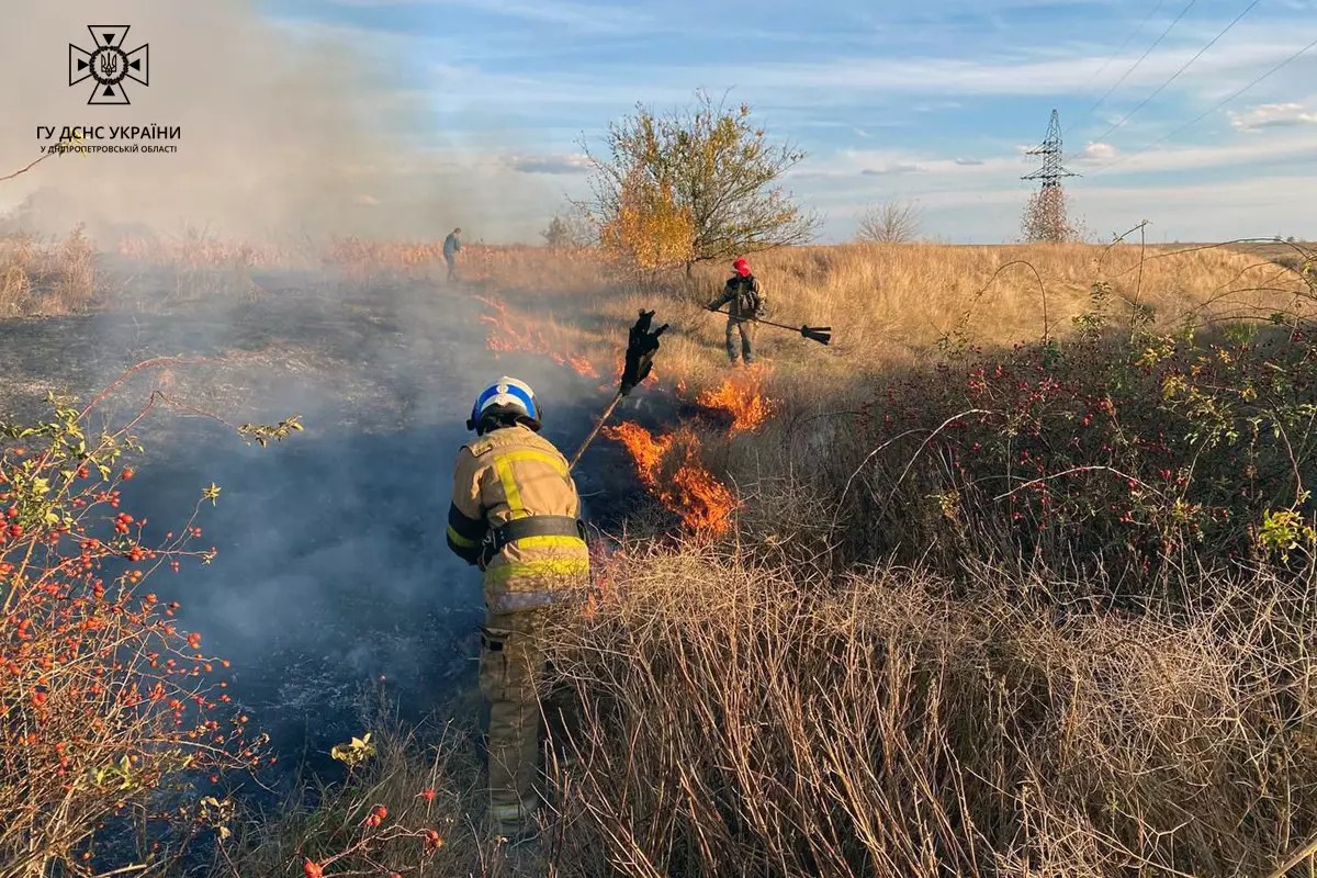 За минулу добу надзвичайники ліквідували 29 пожеж у екосистемах 