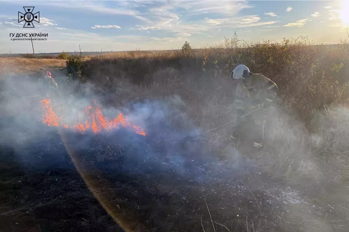 Всього вигоріло понад 20 гектарів